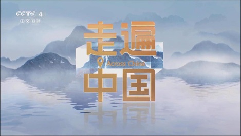 媒体聚焦：央视《新质引擎》揭秘上海w66利来匠造全球最大乐高乐园
